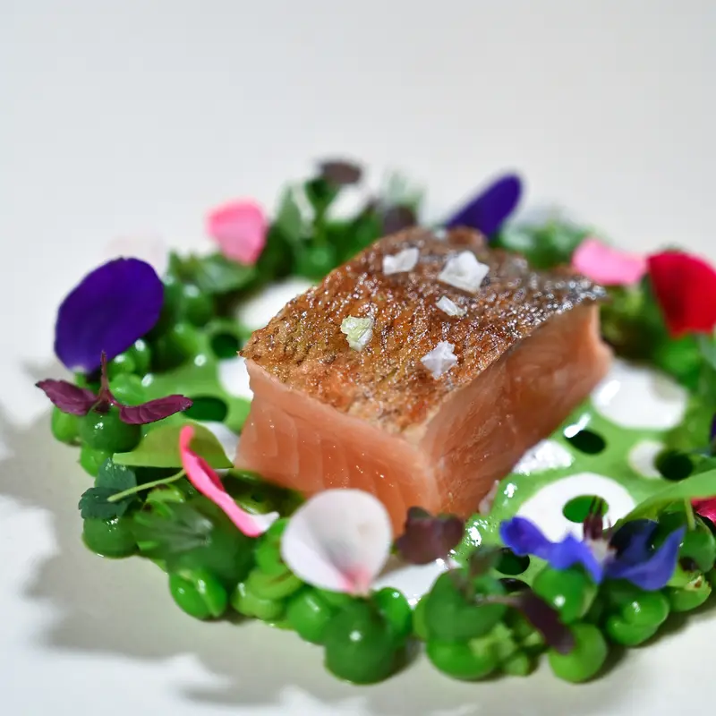 Forelle mit Kräuter- und Blütenkranz