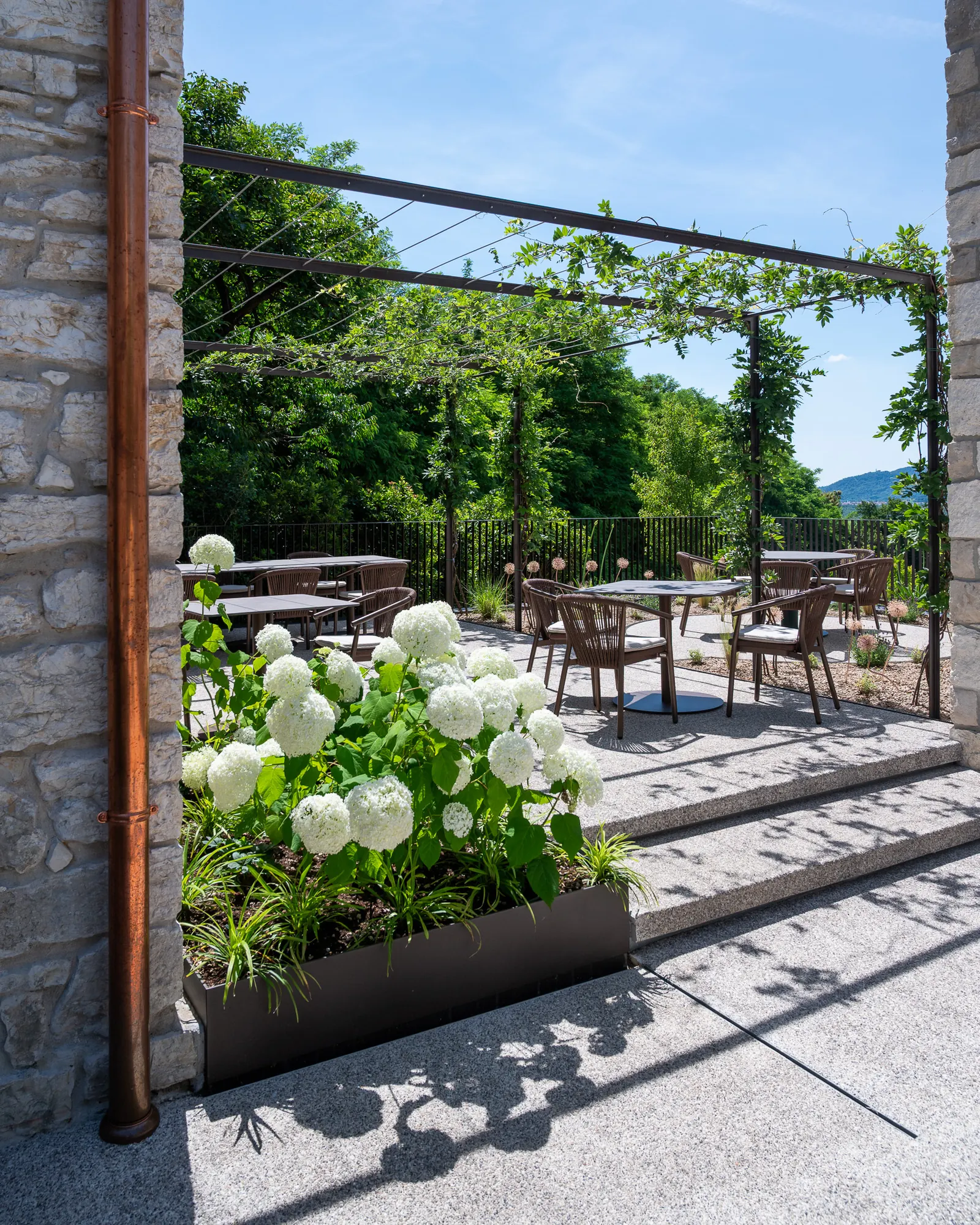 La terrazza del Bistrò sotto il pergolato tra le ortensie